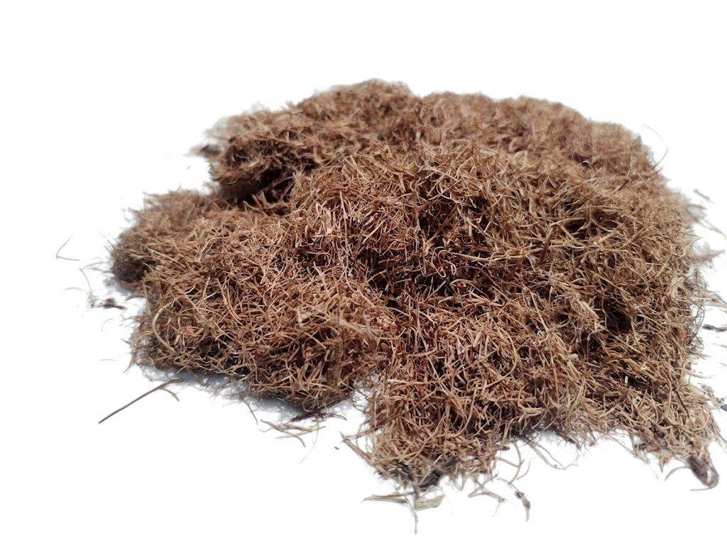 Fibra de agave malla M9M: molienda gruesa de bagazo de agave con estructura fibrosa visible